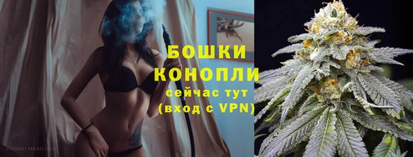 твердый Бронницы