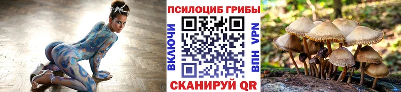Псилоцибиновые грибы GOLDEN TEACHER  даркнет сайт  площадка официальный сайт  Вуктыл  МЕГА ССЫЛКА 