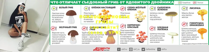 Галлюциногенные грибы мухоморы  купить наркоту  Вуктыл 